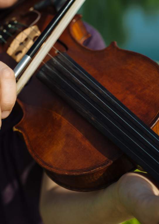 Fiddle