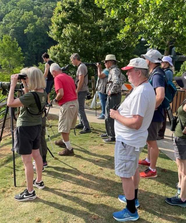 Bird Walk at Morgan Falls Overlook Park
