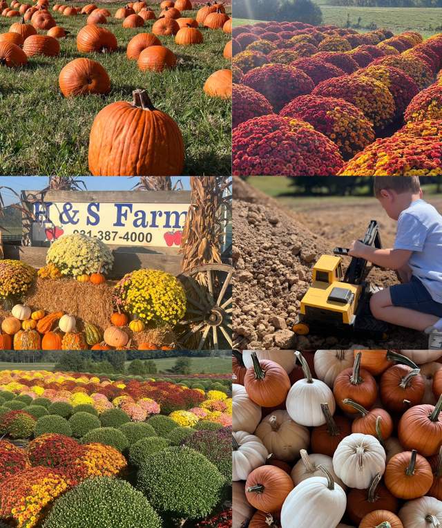 Fall at the Farm