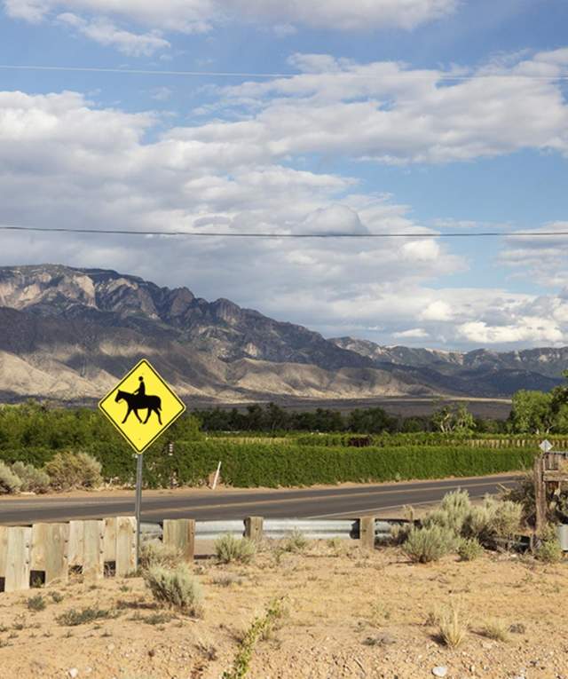 A road runs through a green and dirt area with a horse crossing sign on the side and mountains in the background