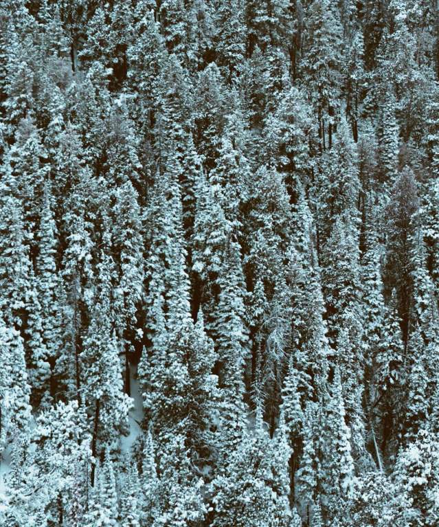 Casper Mountain winter