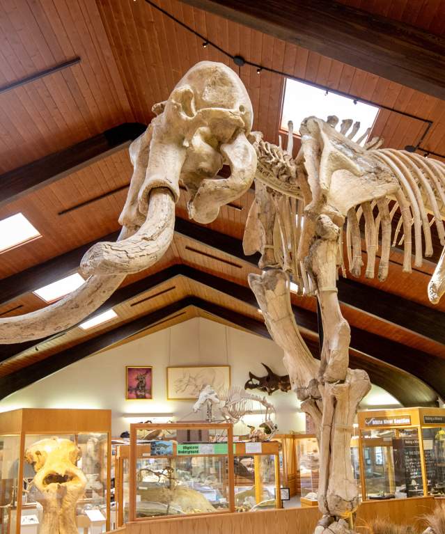 Tate Geological Museum