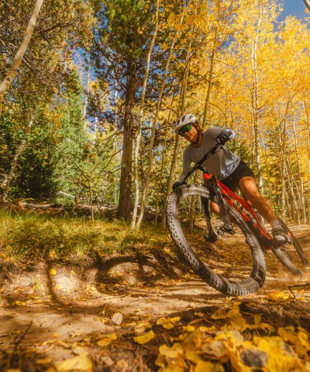 Mountain Biking on Casper Mountain