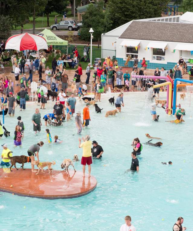 City Park Pool Pooch Plunge