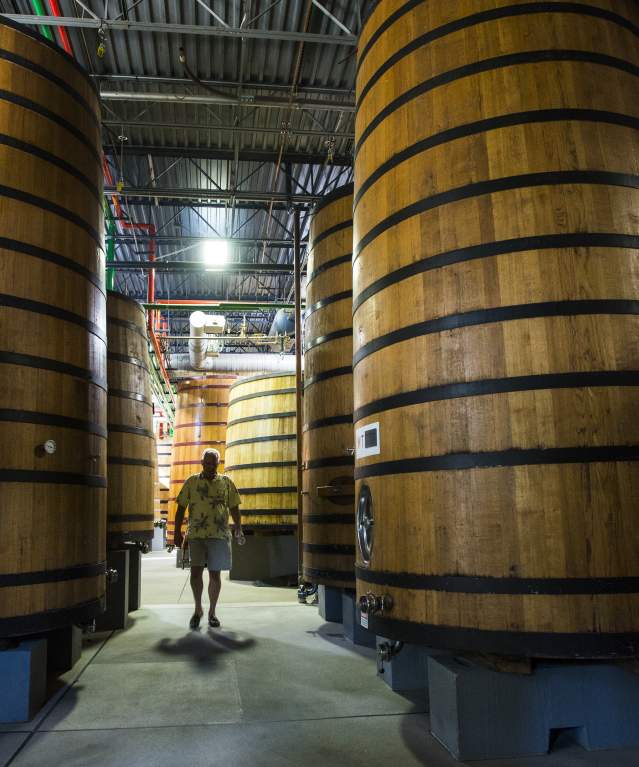 New Belgium Brewery