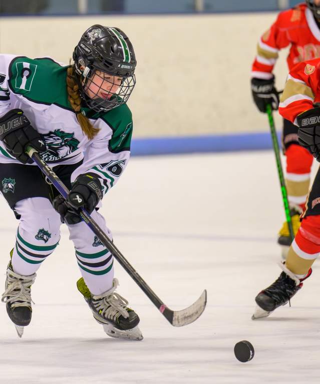 Hockey