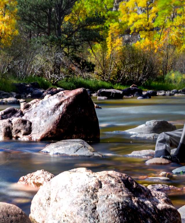 Poudre Fishing