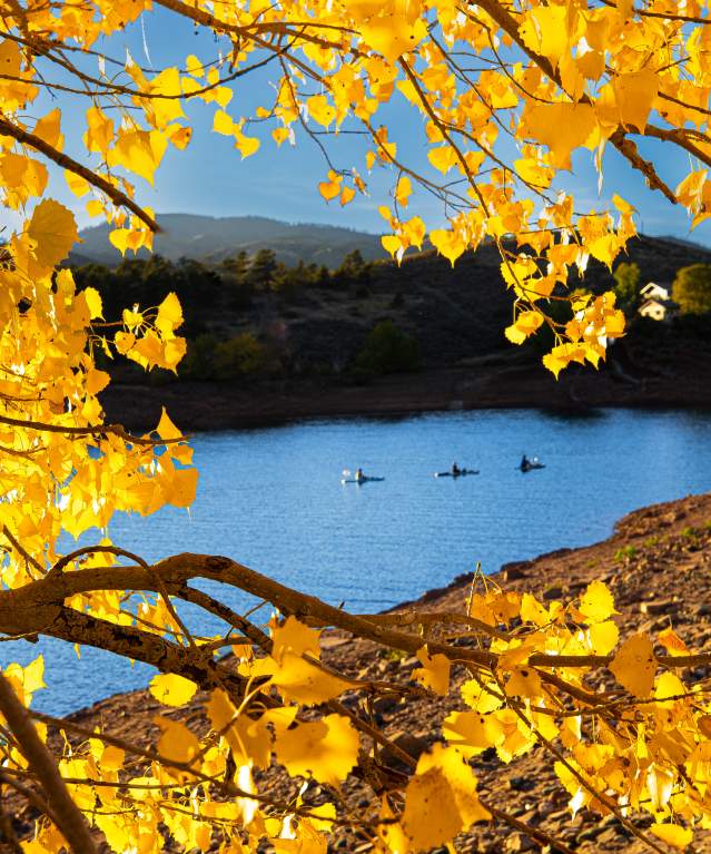 Fall leaves at Horsetooth