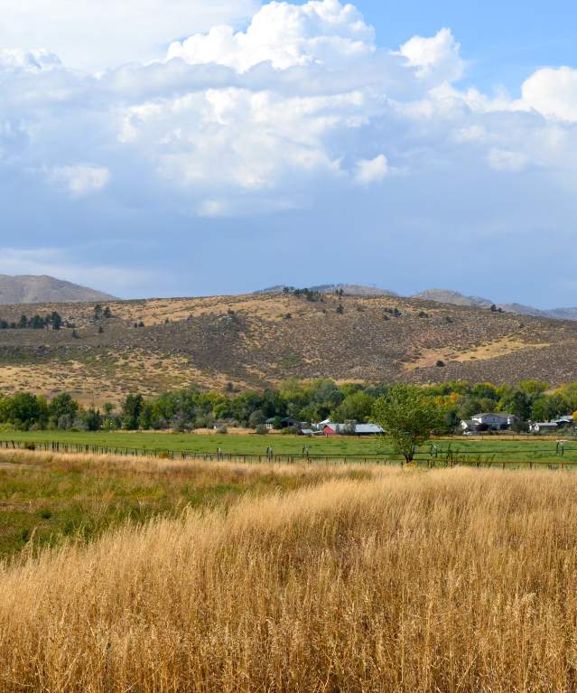 Natural Area