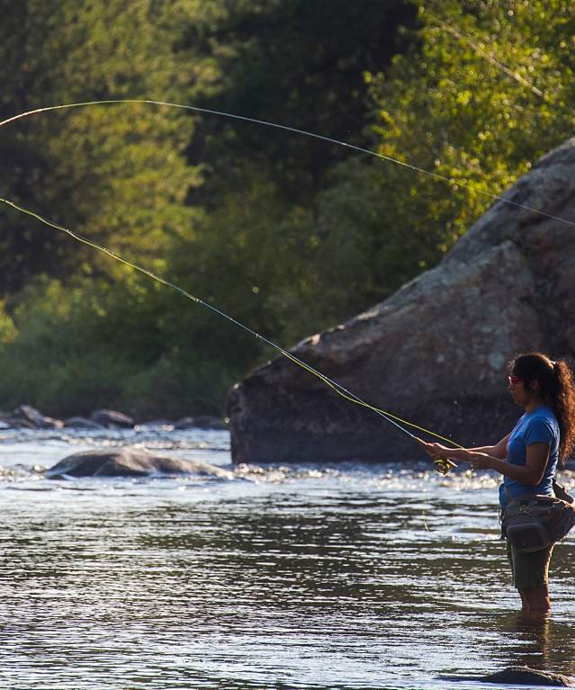 Woman Fly Fishing Poudre River