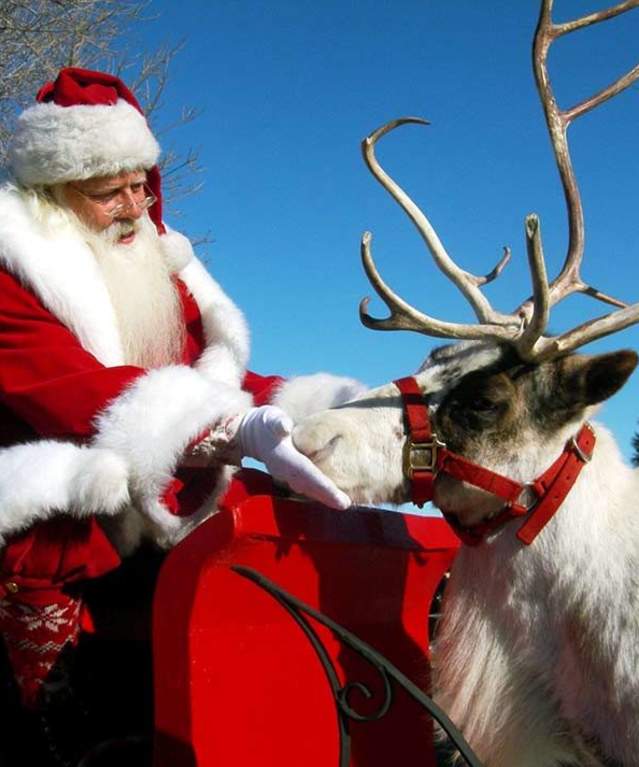 santa-and-reindeer-1000x714