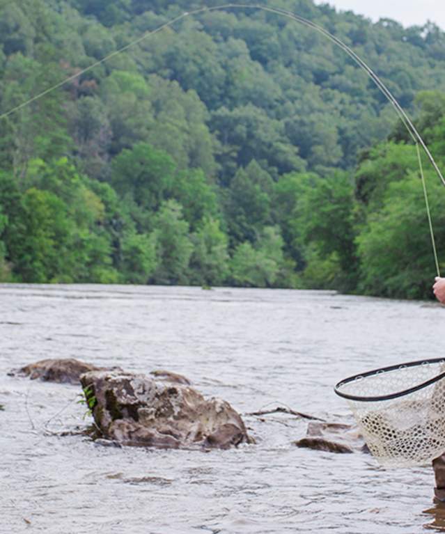 Fishing