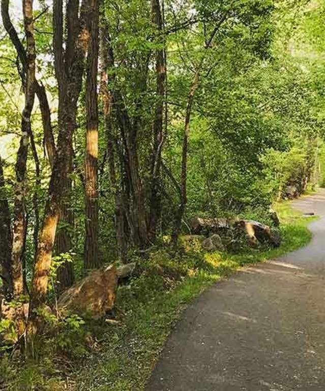 Park Trail