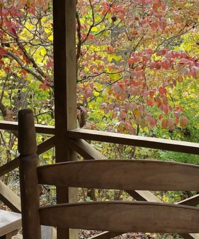 Chairs on porch overlooking trees
