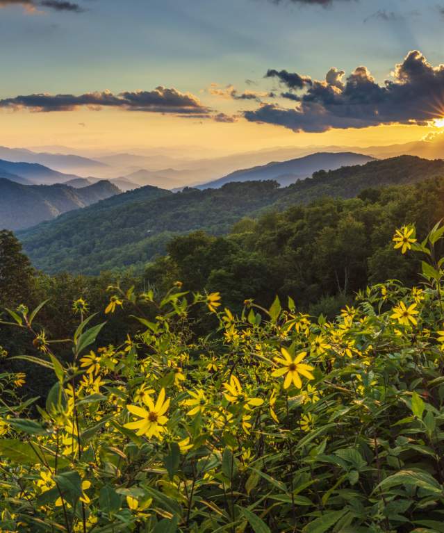 Jackson County, North Carolina