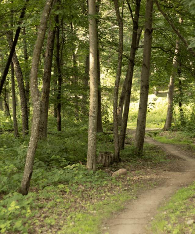 Hiking