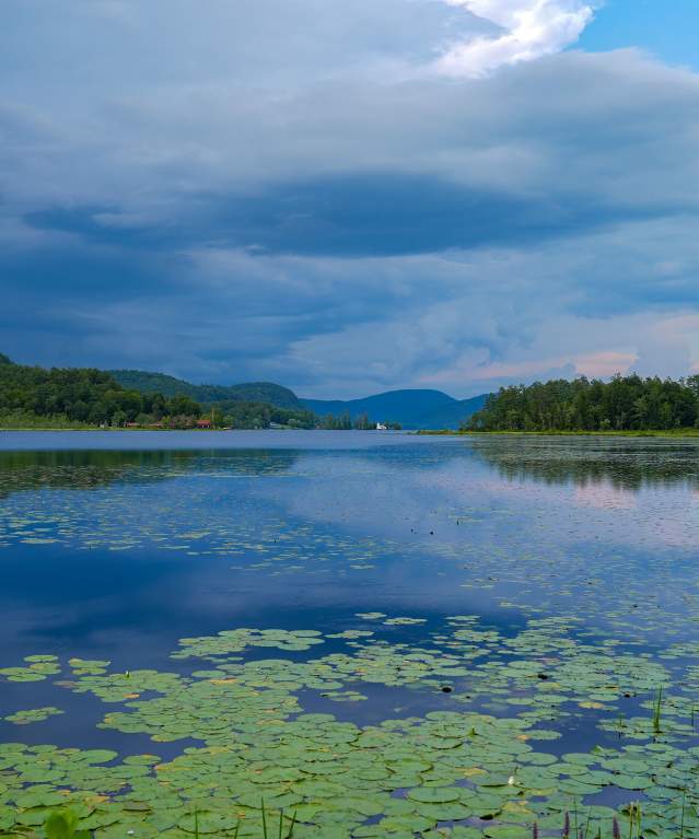 Brant Lake