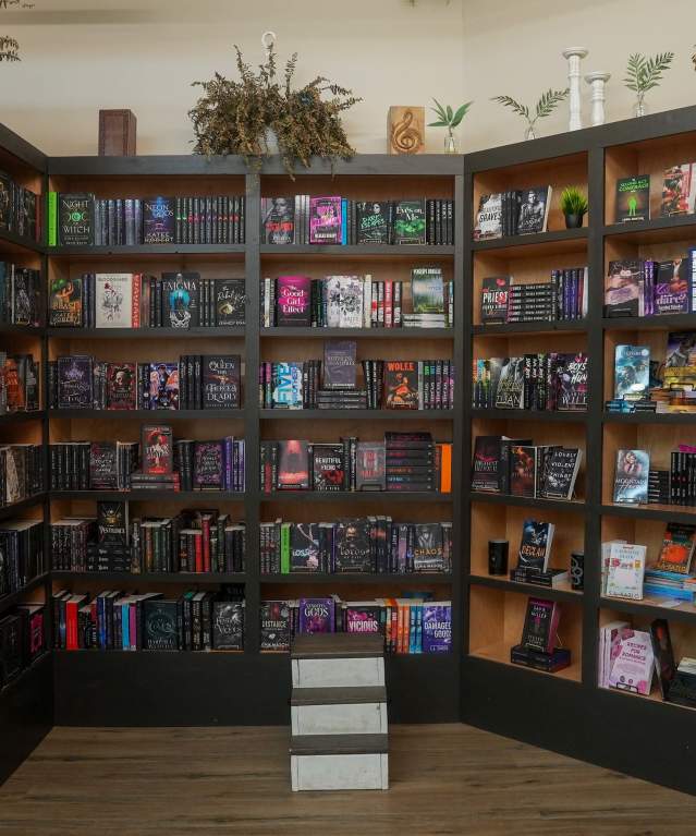 Bookshelves at Just One More Chapter