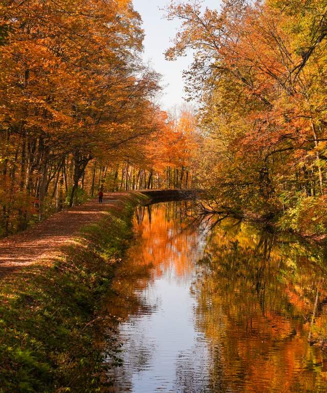 Feeder Canal Towpath