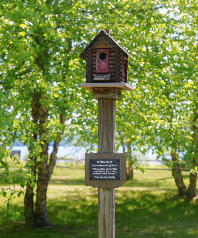 Birdhouse at Peggy's point