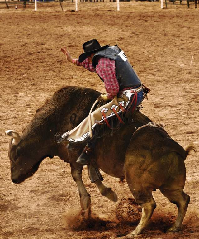 Man Riding a Bull at the Rodeo