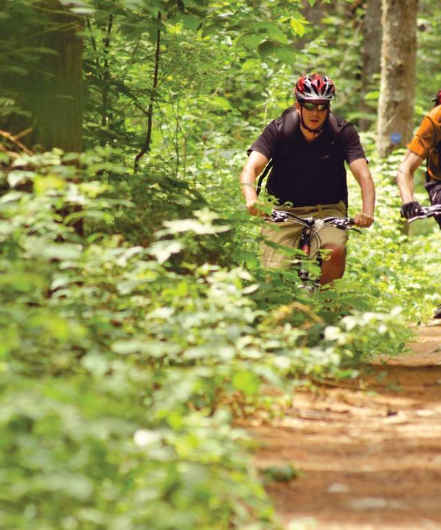 Two Mountain Bikers on Trails
