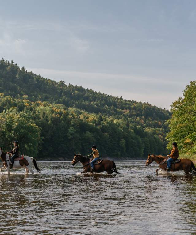 Horseback Riding