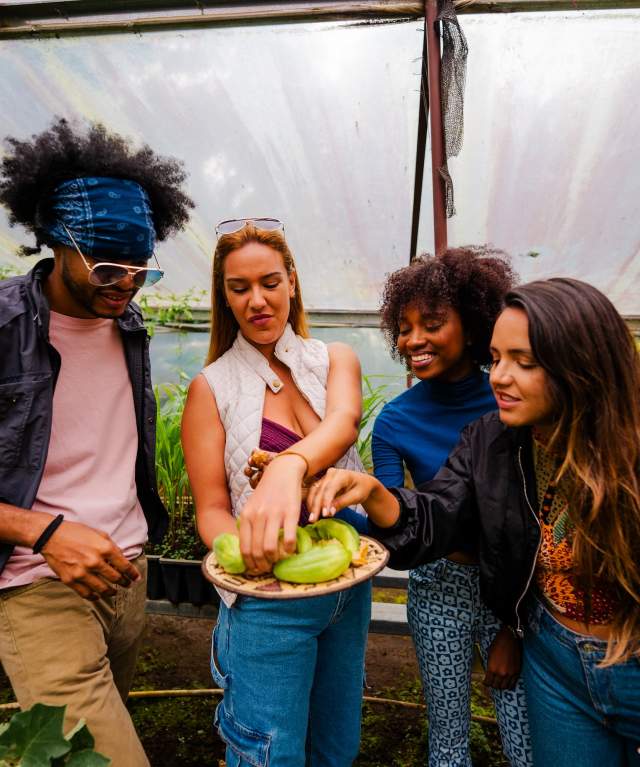 Visitors learn about local ingredients during an experience at Hacienda Mamecillo in Boquete, Chiriquí Province, Panama.