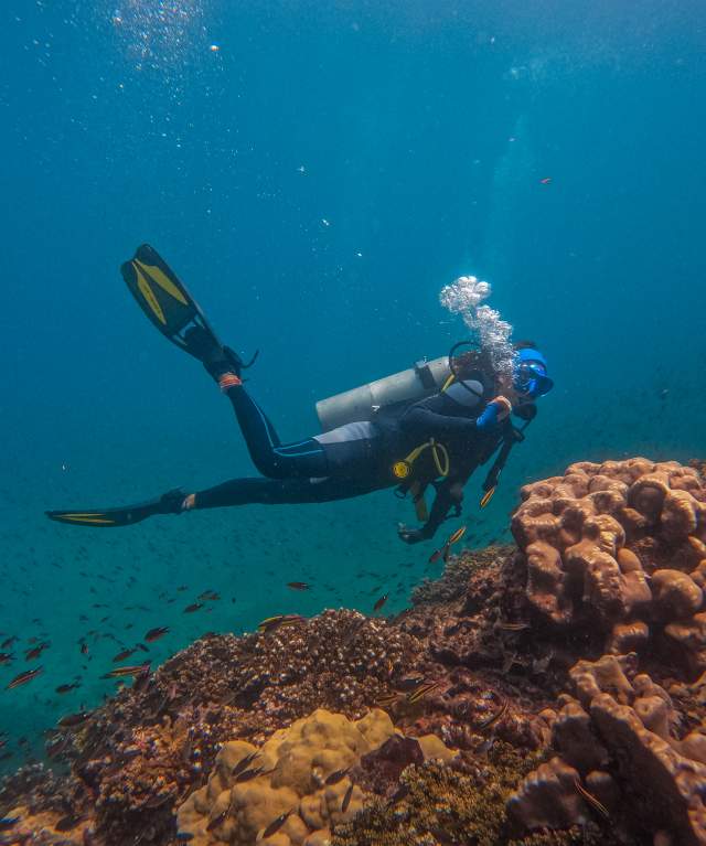 Exploring the depths of blue waters in Punta Deseo Coiba, surrounded by vibrant coral reefs and teeming schools of fish