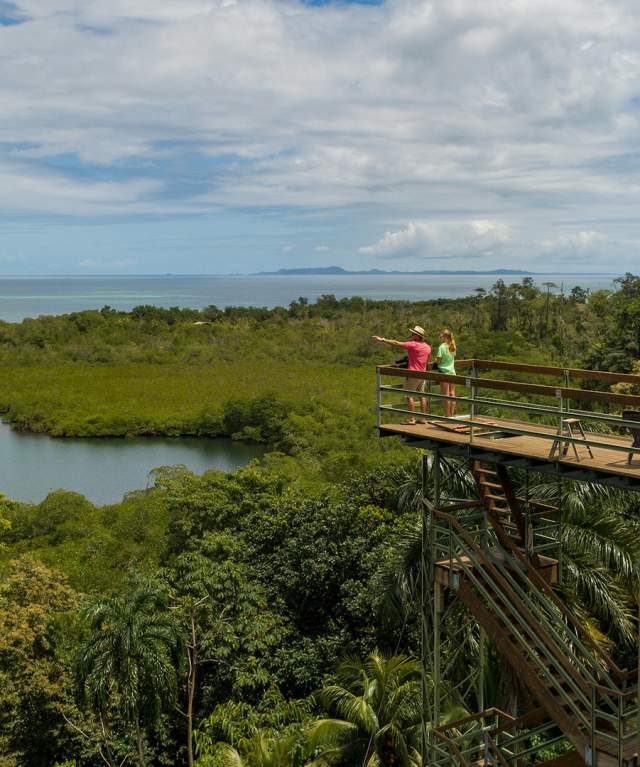 Aerial view of the mangroves and the Canopy Tower in Tranquilo bay, Eco adventure lodge