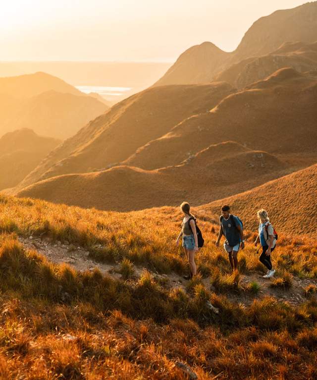 Friends walking through the yellow trail of Cerro Chame