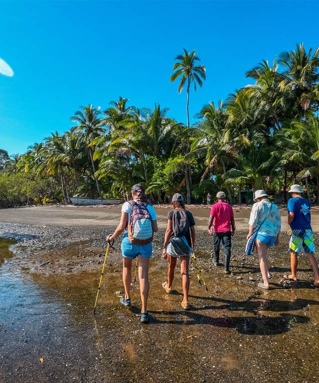 Beautiful beach of Cebaco Island, people walking on the shore. At background you can see palms trees