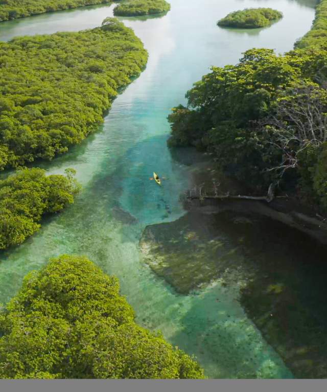 Panoramic aerial shot of a tropical island featuring mangroves, pristine white sand beaches and the turquoise Caribbean Sea.