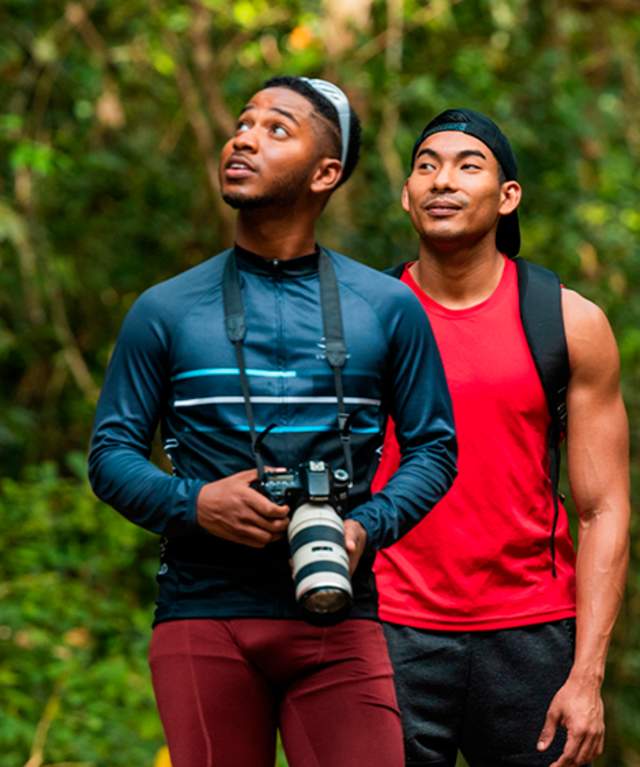 Tourists bird-watch inside charming woodland sanctuary