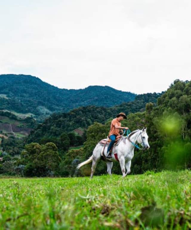 Persona montando a caballo a través de un hermoso campo verde con colinas onduladas al fondo en Haras Cerro Punta, Chiriquí