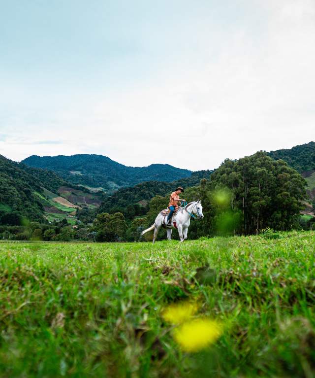 A person on horseback riding through a beautiful green field with rolling hills in the background. The sky is cloudy, adding to the peaceful atmosphere of the scene.