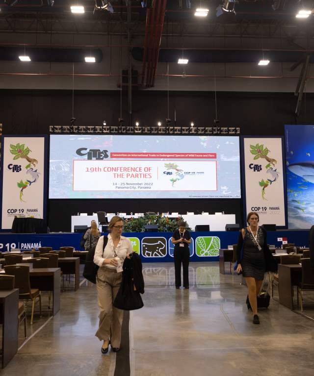 Panama Convention Center, a modern and spacious building with large windows and a sleek design.  It is located on the Amador Causeway, offering stunning views of the Pacific Ocean and the Bridge of the Americas.