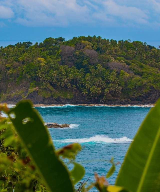 small island covered in lush greenery, surrounded by clear blue water with gentle waves. The foreground shows lush vegetation framing the view.