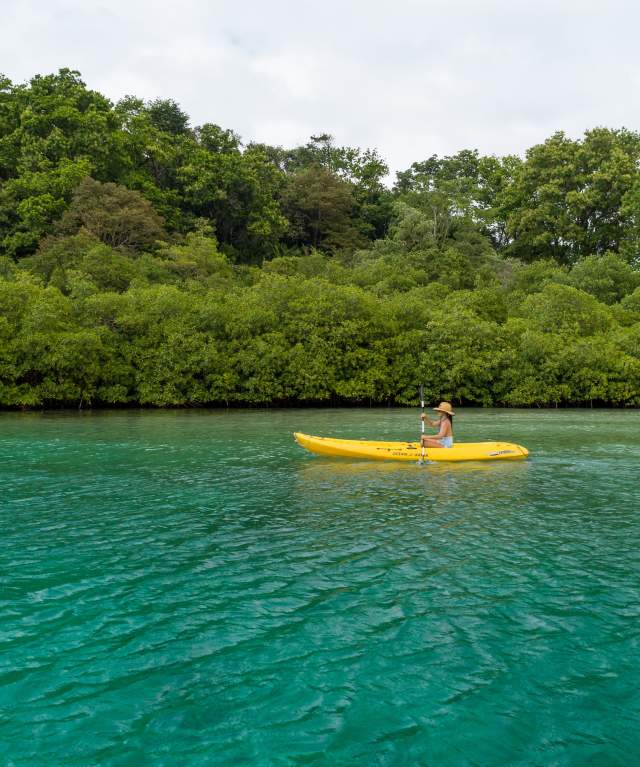 Woman kayaking surrounded by mangroves in calm waters in Portobelo, Panama