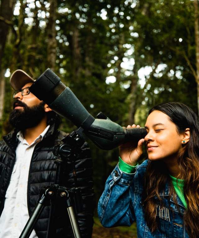 Hikers birdwatching on a narrow trek, surrounded by tropical forest