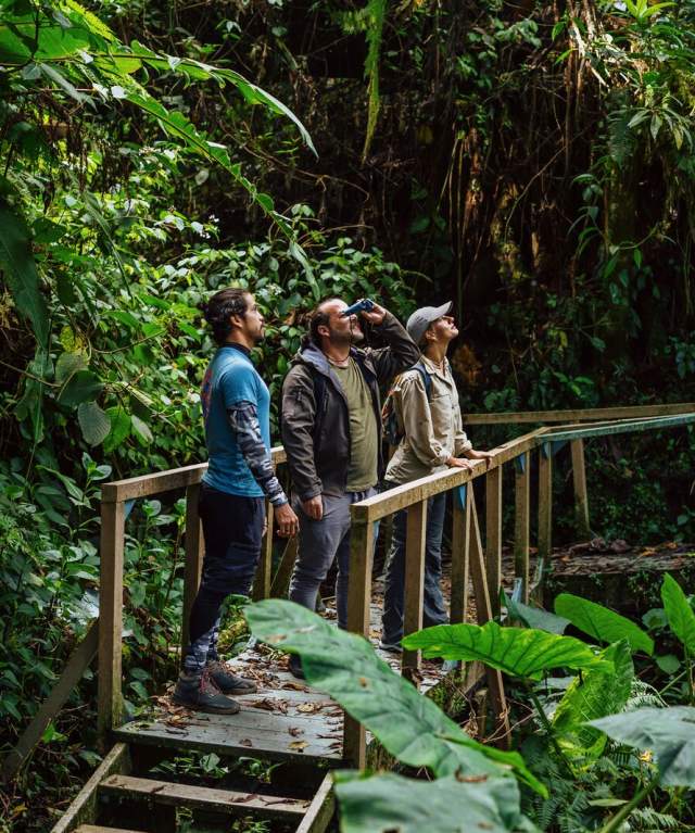 Tourists birdwatching with binoculars on a trail in the heart of Panama's nature
