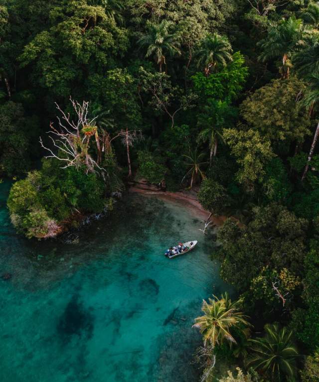 Boat navigating through crystal-clear waters and tropical rainforest of the Panamanian Caribbean.