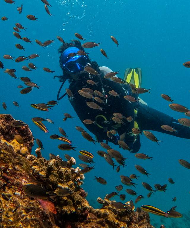 Diving enthusiast in the midst of a fish-filled underwater reef.
