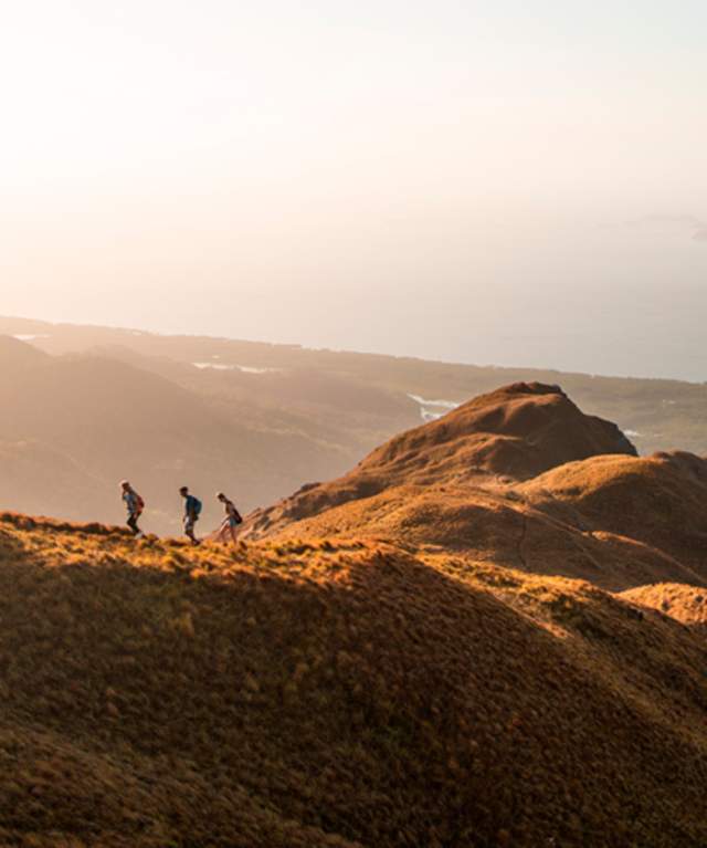 A gathering of friends trekking up a mountain.
