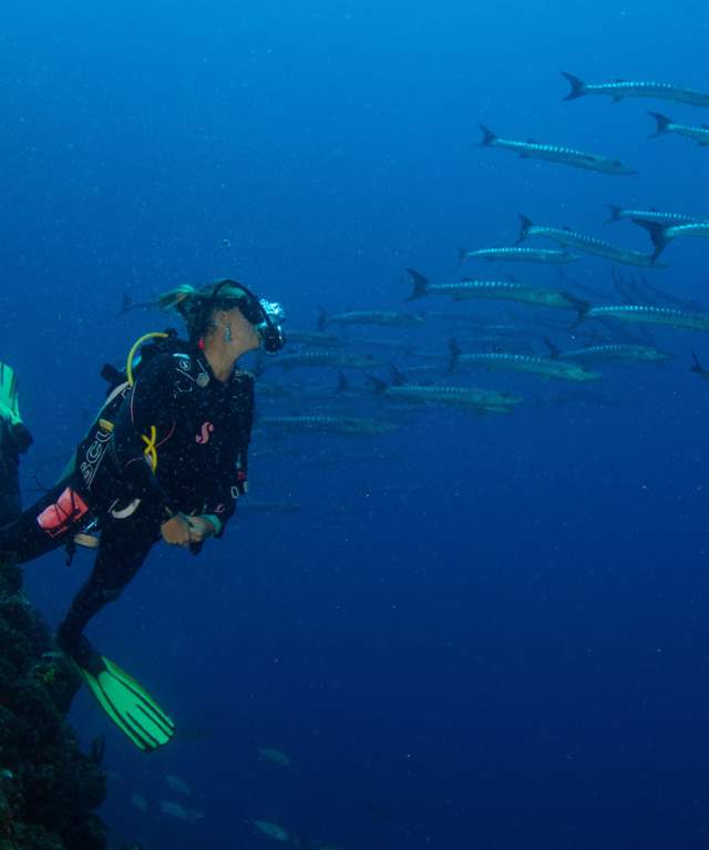 Diver exploring the ocean while observing a school of fish in deep waters