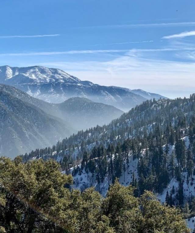 San Bernardino National Forest