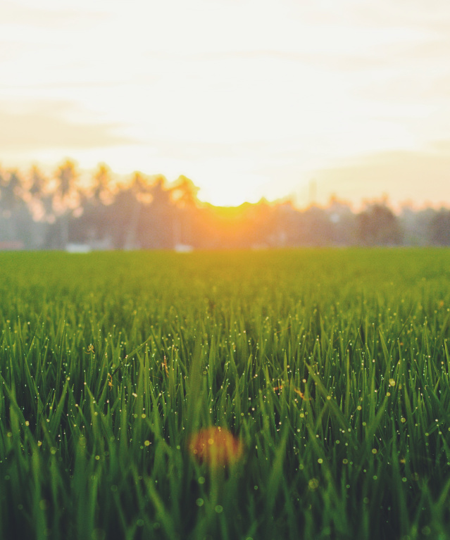 The Best Places to Watch Sunrises and Sunsets in ShelbyKY