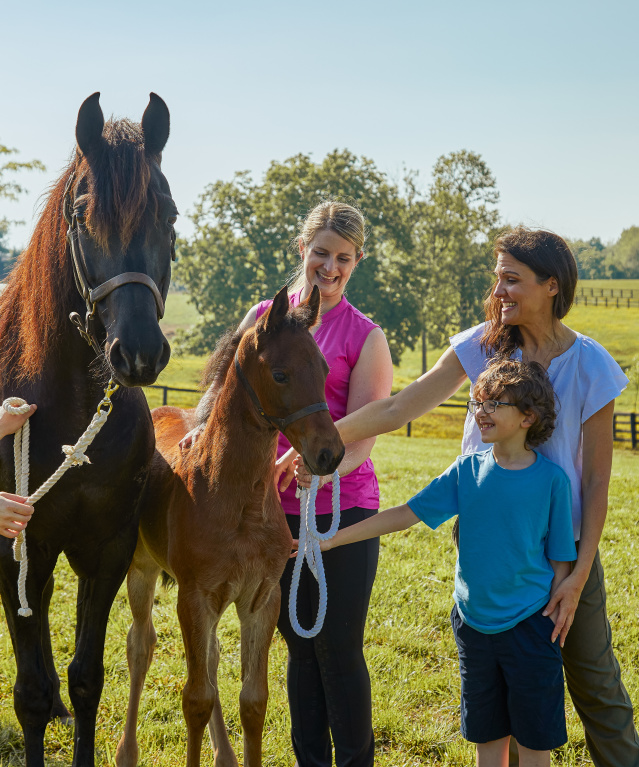 Why is ShelbyKY the Saddlebred Capital of the World?