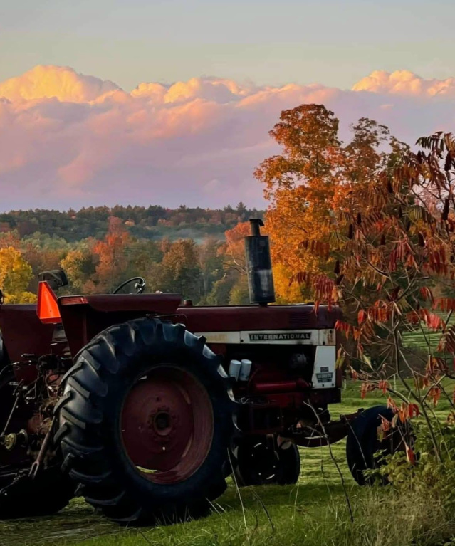 Fall Festivals & Fun in ShelbyKY
