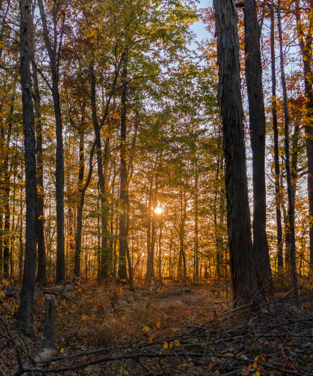 Here's What to See and Do in ShelbyKY This Fall